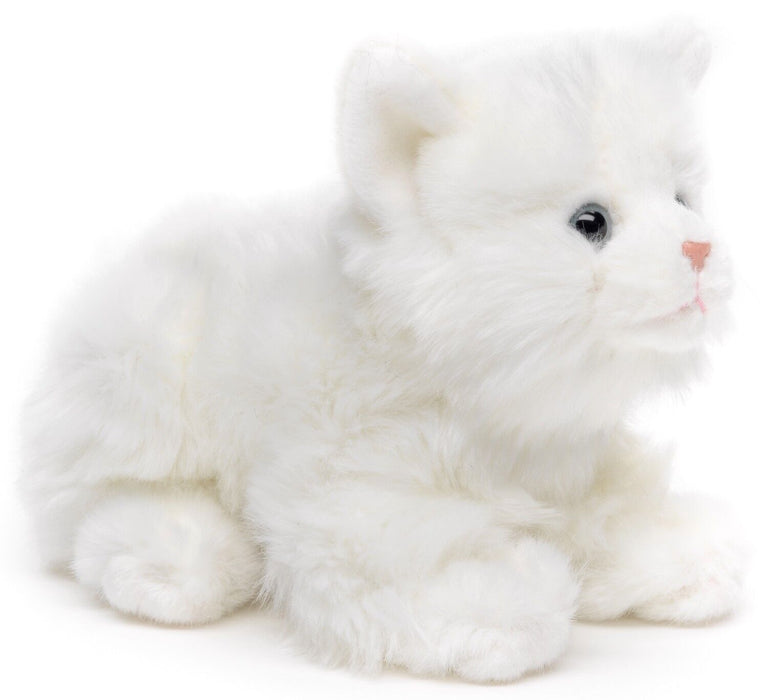 Valkoinen Kissa pentu pehmolelu 20cm
