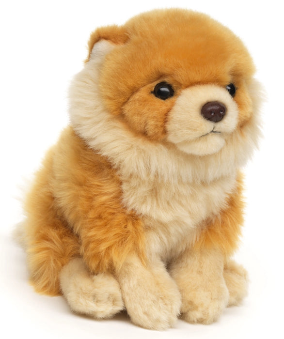 Pomerian koira pehmolelu 17cm