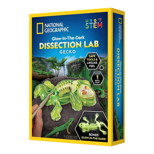 National Geographic Geckon luuranko tutkimus setti - loistaa pimeässä!
