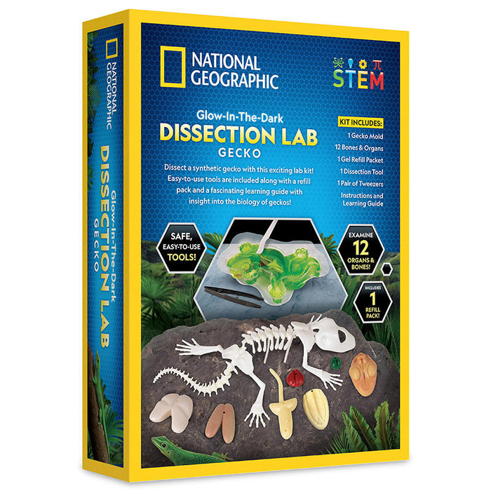 National Geographic Geckon luuranko tutkimus setti - loistaa pimeässä!