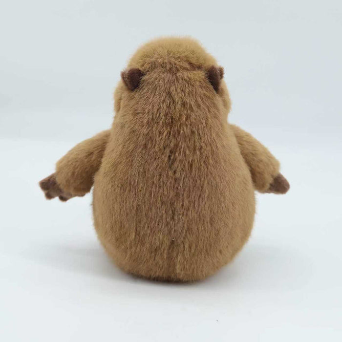 Capybara pehmolelu 20cm