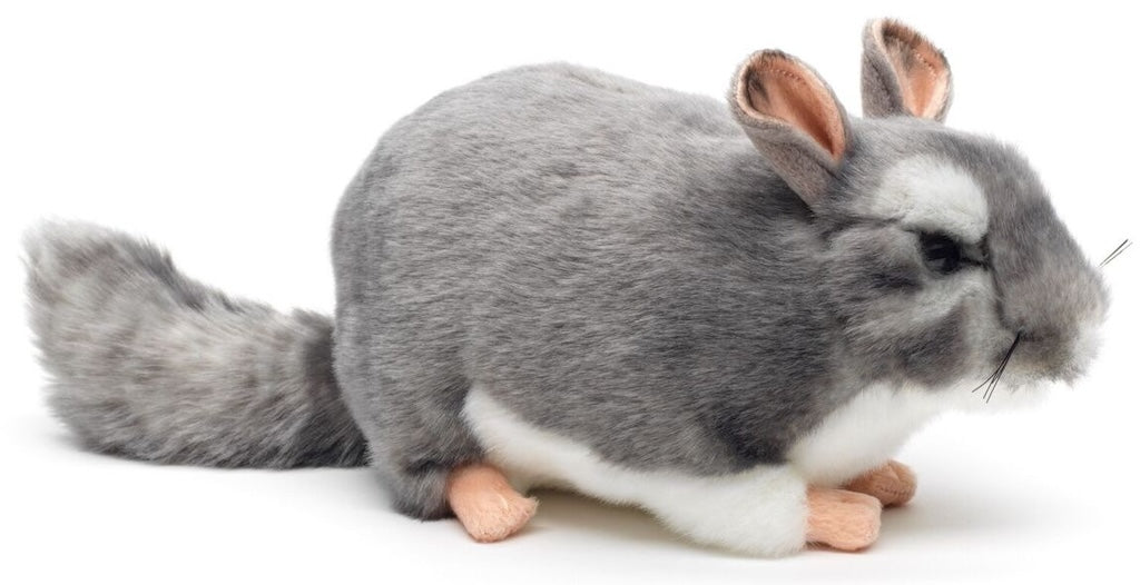Chincilla pehmolelu 22cm