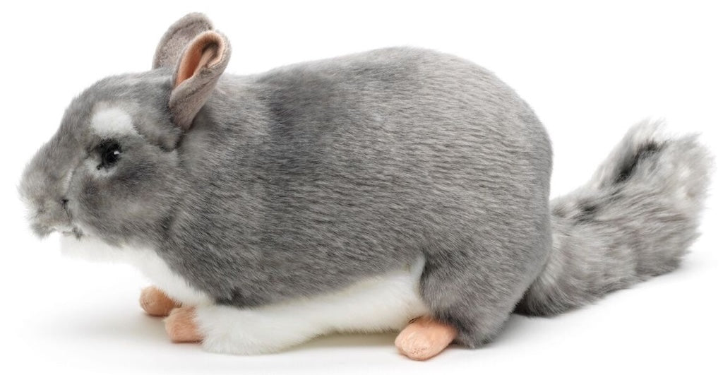 Chincilla pehmolelu 22cm