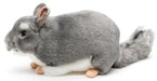 Chincilla pehmolelu 22cm