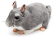 Chincilla pehmolelu 22cm