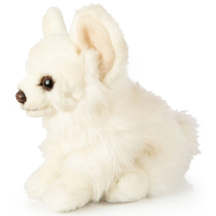 Chihuahua koira pehmolelu 18cm