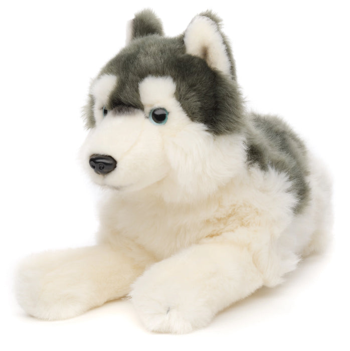 Husky koira pehmolelu 38cm