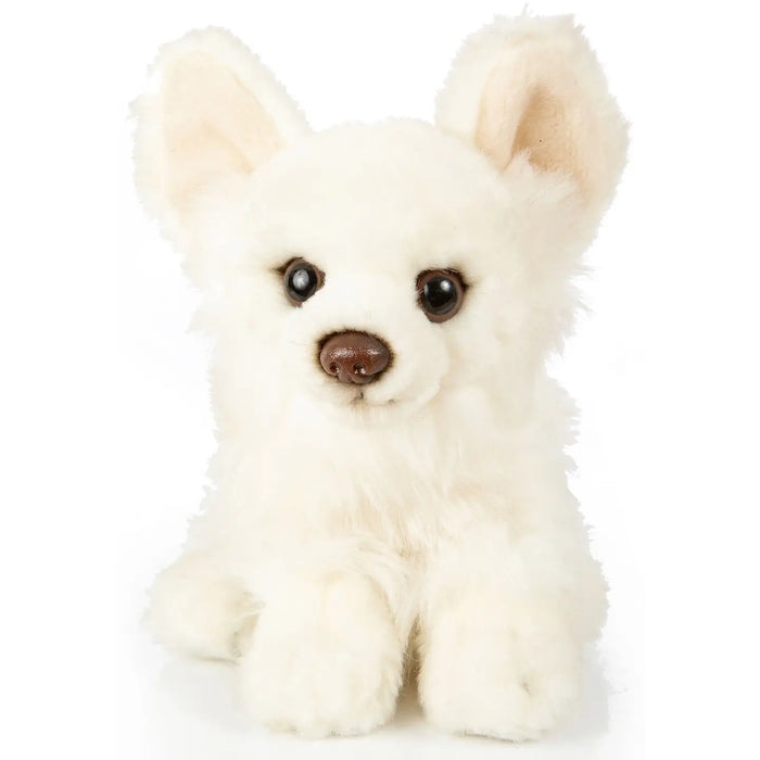 Chihuahua koira pehmolelu 18cm