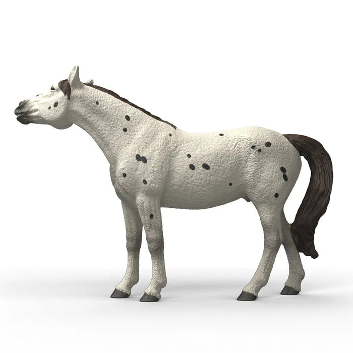 Schleich 14916 Knabstrup hevonen, ruuna - Ennakkotilaus