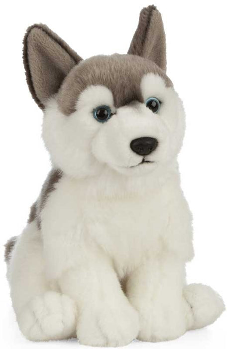 Living Nature Husky koira pentu pehmolelu 25cm
