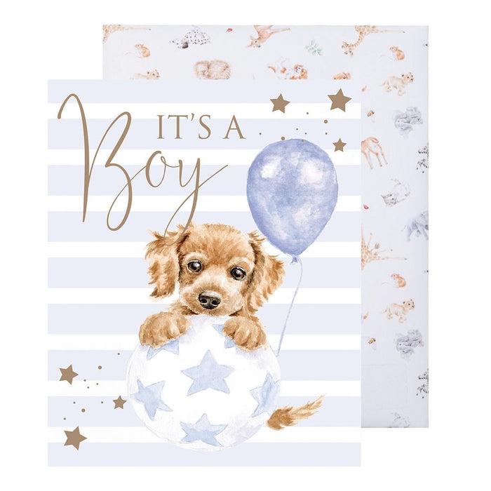 Wrendale Designs "It's a boy" koiranpentu onnittelukortti kirjekuorella