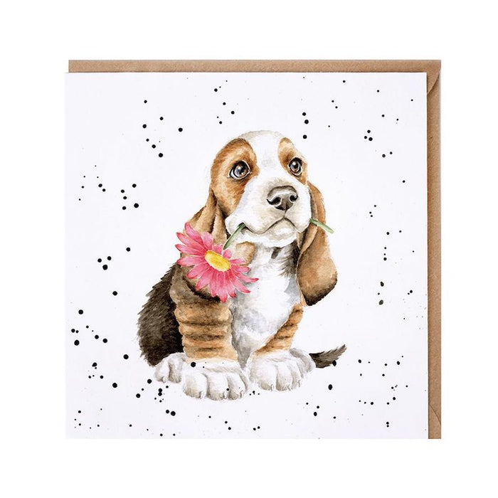Wrendale Designs Koira ja kukka - 2 osainen kortti