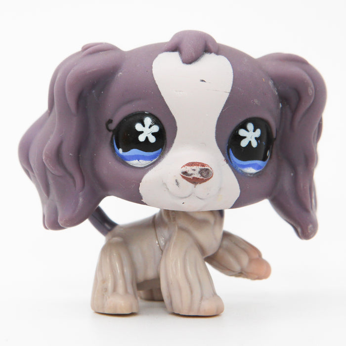 Littlest Petshop Cockerspanieli #672