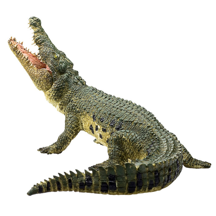 Mojo Krokotiili