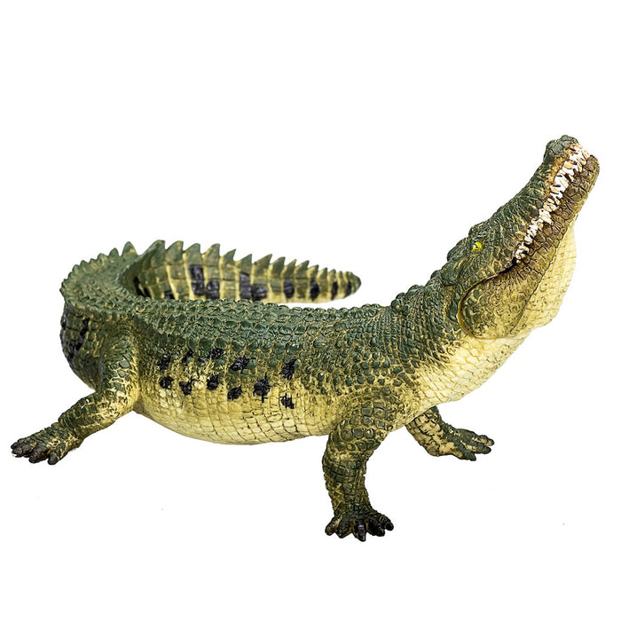 Mojo Krokotiili