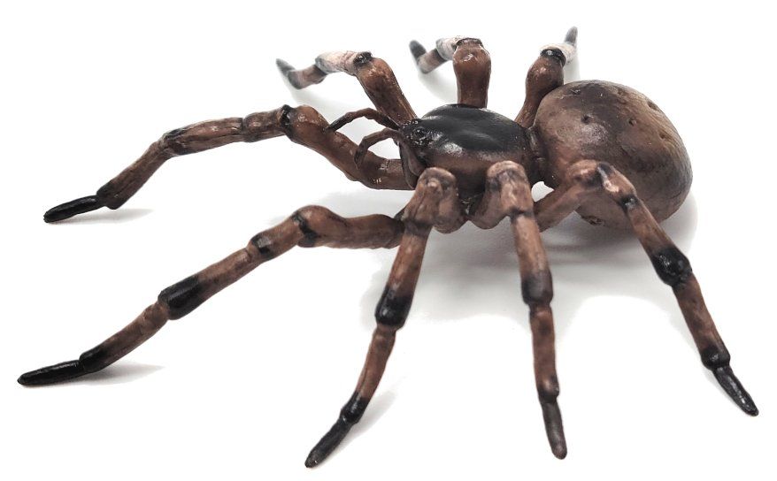 Papo 50292 Hämähäkki