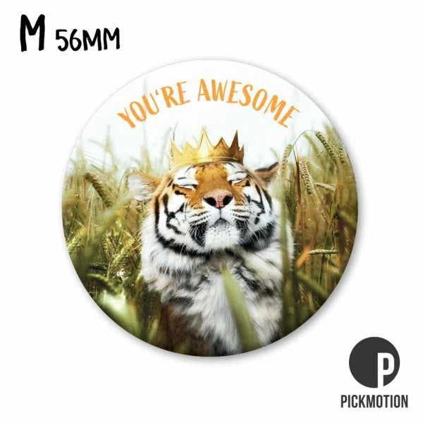 Pickmotion "You are awesome" -magneetti