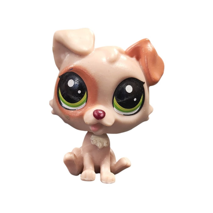 Littlest Pet Shop Terrieri #238 - Second Hand
