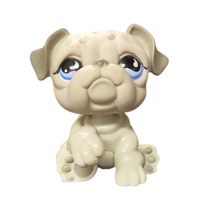 Littlest Pet Shop Bulldog koira #508 - Second Hand