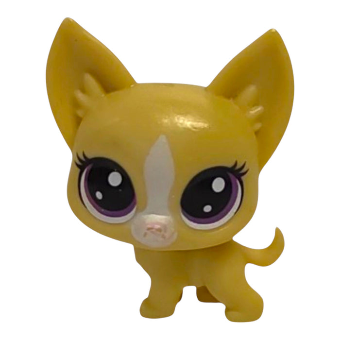 Littlest Pet Shop mini Chihuahua koira #2-87 - Second Hand