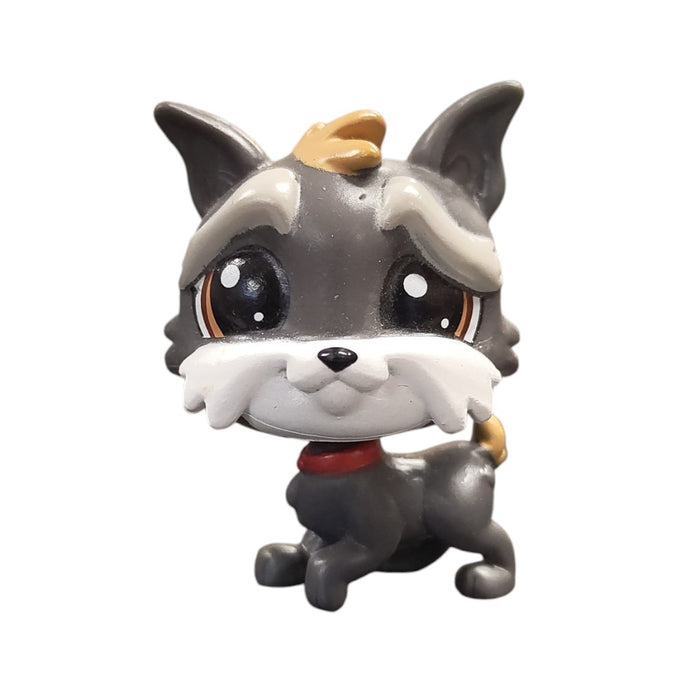 Littlest Pet Shop Terrieri #180 - Second Hand