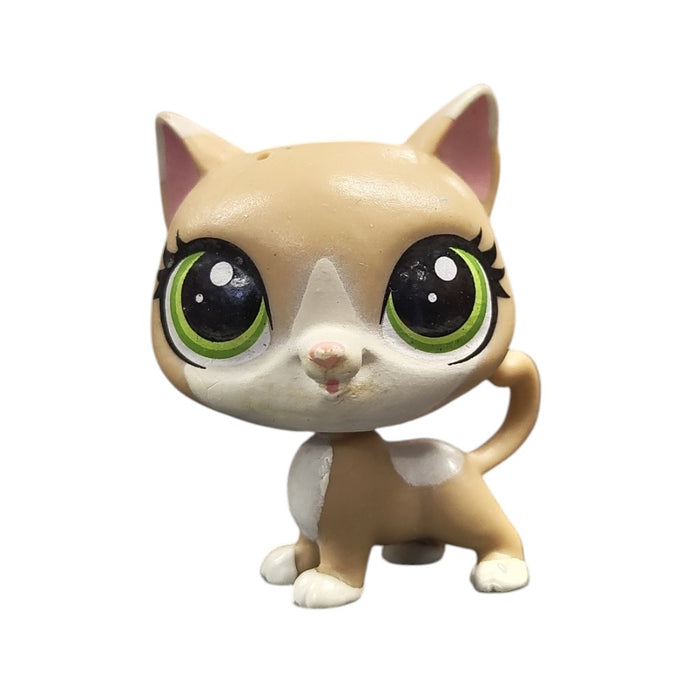 Littlest Pet Shop Kissa #118 - Second Hand