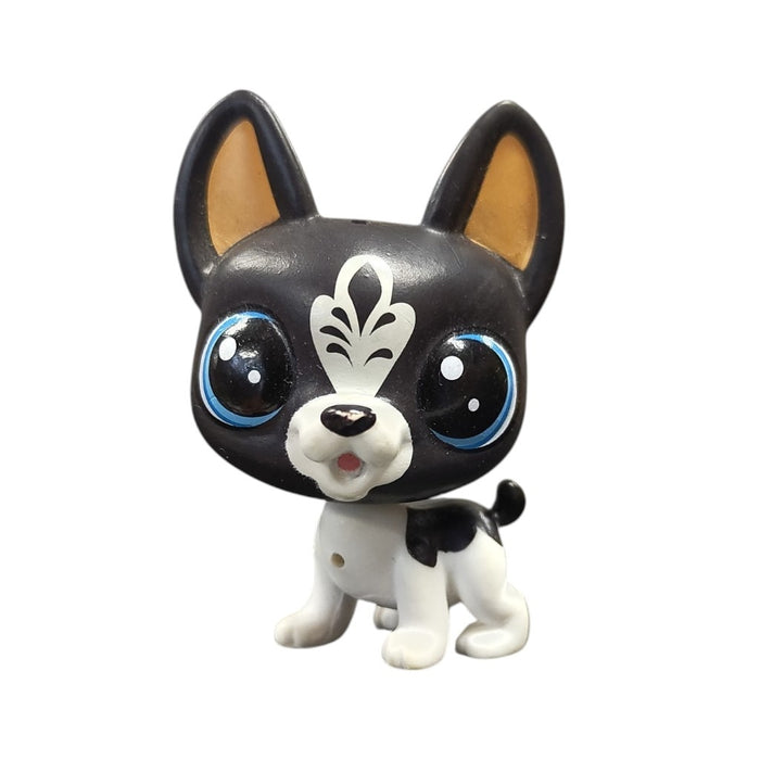 Littlest Pet Shop Bostonin Terrieri #3953 - Second Hand