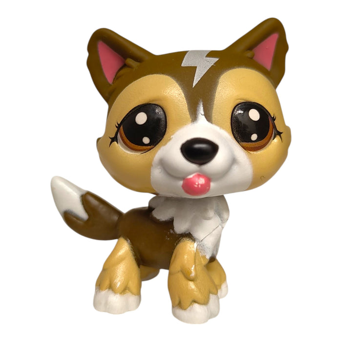 Littlest Petshop Husky G7 #88 - Second Hand