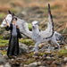 Schleich Harry Potter 13988 Hiinokka