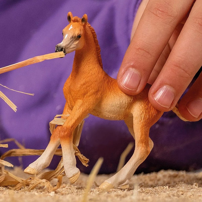Schleich 13984 Arabi hevonen, varsa