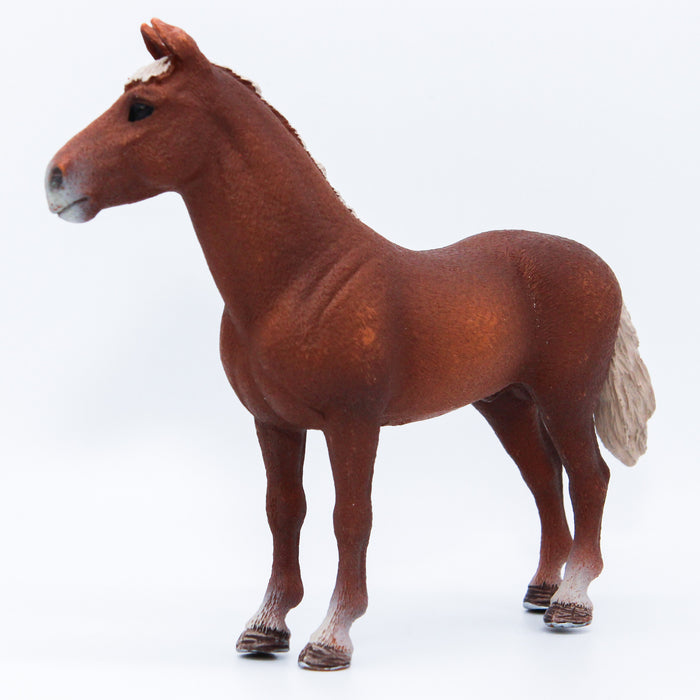 Schleich Morganin hevonen 13869 - Second Hand