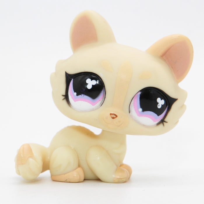 Littlest Petshop Kissa pentu #848