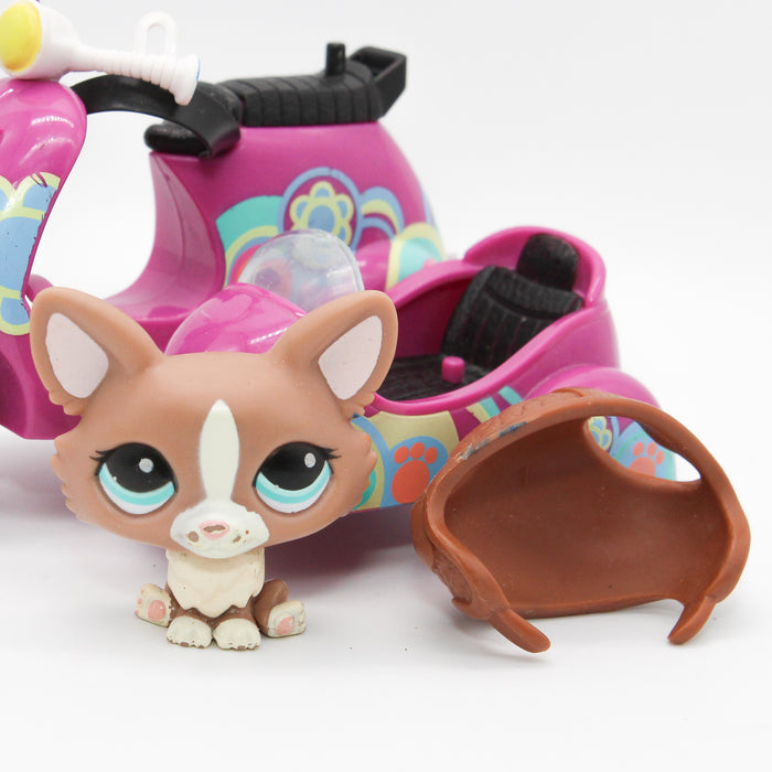 Littlest Petshop Skootteri ja Corgi #1864