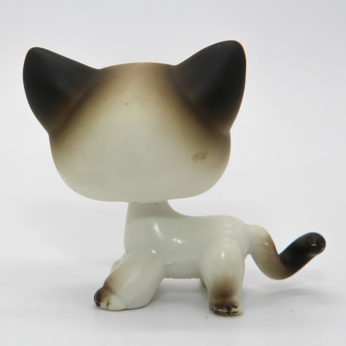 Littlest Petshop Siamilainen Kissa #5