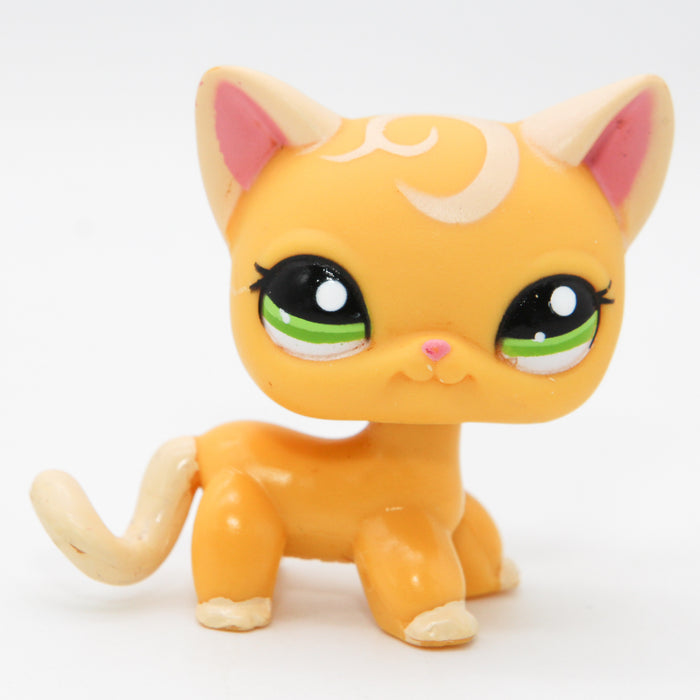 Littlest Petshop seisova Kissa #2194