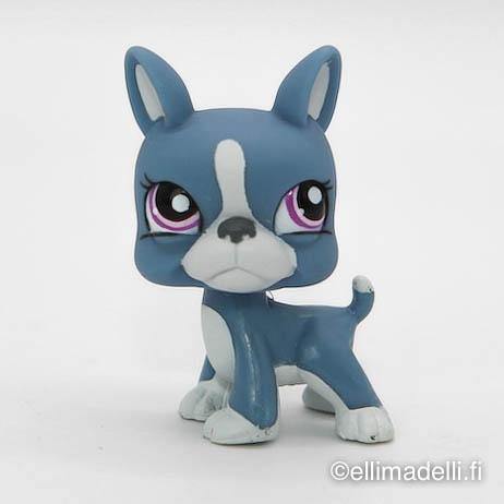 Littlest Petshop Bostonin terrieri #1025 - Elli