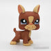 Littlest Petshop Bostoninterrieri koira #1789 - Elli