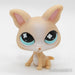 Littlest Petshop Chihuahua #837 - Elli