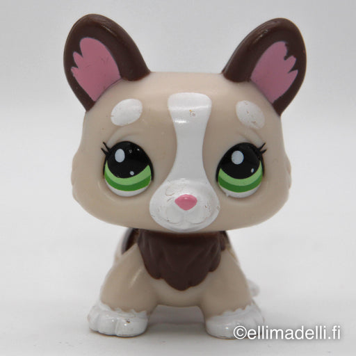 Littlest Petshop Corgi koira #2311 - Elli