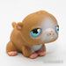 Littlest Petshop Hamsteri #45