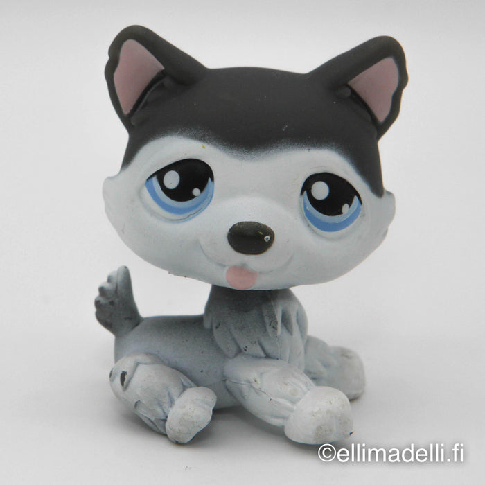 Littlest Petshop Husky #210 - Elli