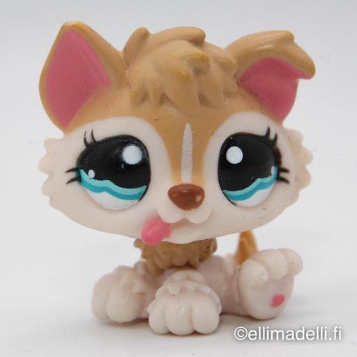 Littlest Petshop Husky pentu #1013 - Elli