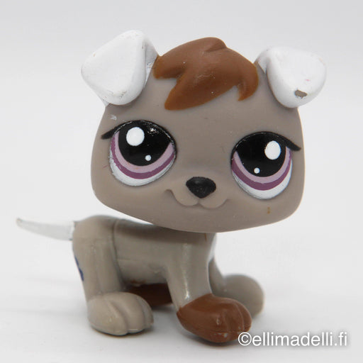 Littlest Petshop Koira pentu #1877 - Elli