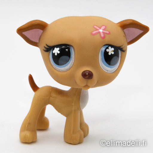 Littlest Petshop Vinttikoira #498 - Elli