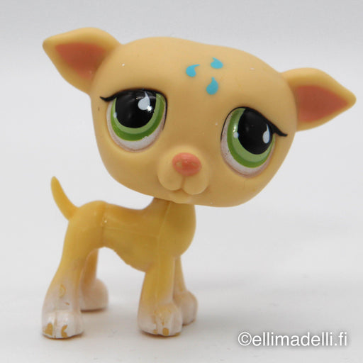 Littlest Petshop Vinttikoira #875 - Elli