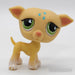 Littlest Petshop Vinttikoira #875 - Elli