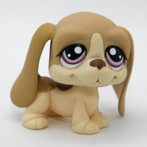 Littlest Petshop Basset koira #1465