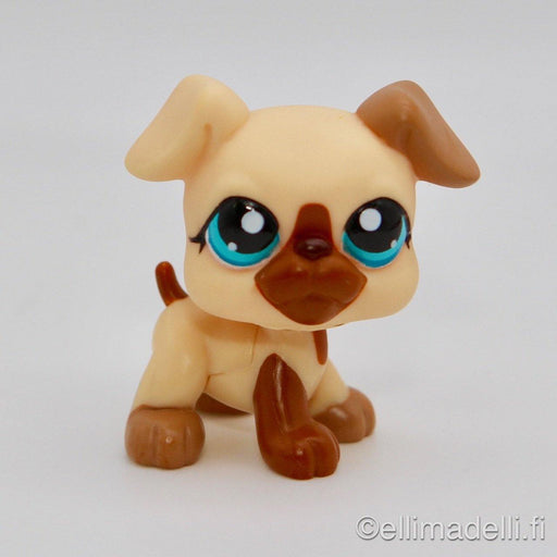 Littlest Petshop Bokseri koira #1516 - Elli