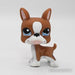 Littlest Petshop Bostonin terrieri #1079