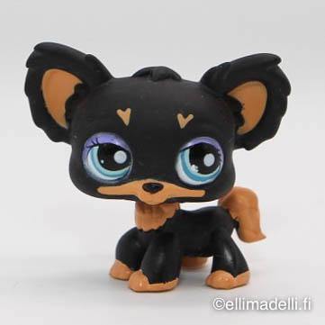 Littlest Petshop Chihuahua #1571 - Elli